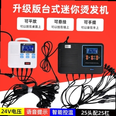 Hair Salon Hairdresshop Small Hot Ironing Machine Beauty Hair New 220V24V Intelligent Voice Digital Perming Machine