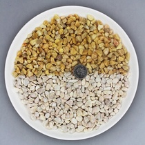 Small stones Rain flower stone original d stone natural cobblestone white stone flower pot potted fish tank patio paved with a lot of meat