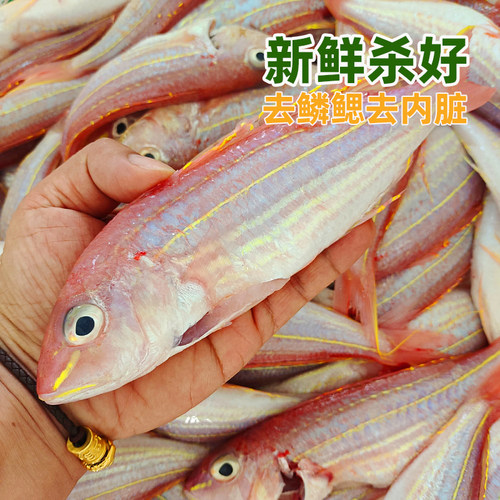 北海金线鱼红杉鱼深海鱼去鳞鳃去内脏免处理新鲜冷冻红三鱼金丝鱼 - 图1