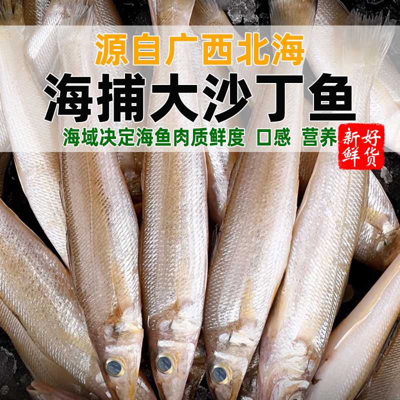 北海沙丁鱼新鲜冷冻海鱼去鳞去内脏海鲜沙钻鱼沙锥鱼冰鲜大沙尖鱼 - 图0