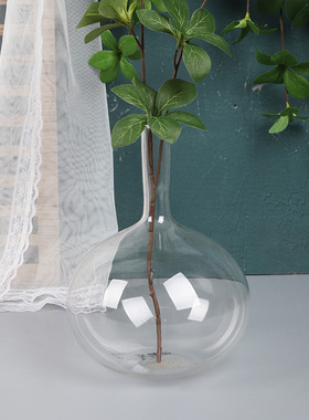 ins简约风玻璃花瓶家居餐桌客厅装饰摆件 透明玻璃干花插花器