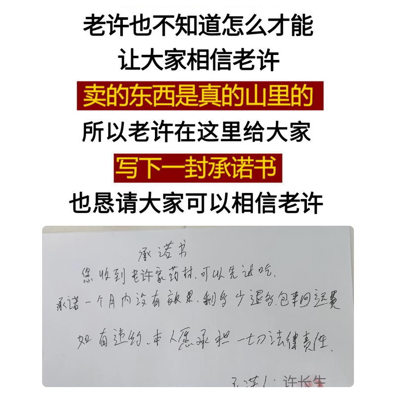 深山野生含羞草中药材500g 知羞草 怕羞草 喝呼草 惧内草 望江南 - 图2