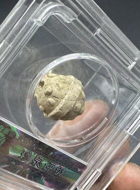 宋乳钉纹荚珠盒子评级正品收藏送礼佳品把玩包邮到家古玩