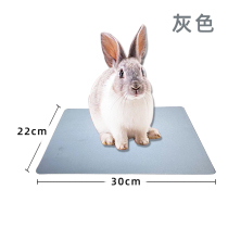 Pet Cooling Plate Summer Rabbit Hamster Hamster Ice Mat Heat Dissipation Plate Dragon Cat Heat Sink Summer Dolphin V Rat Heat Stroke Cooling