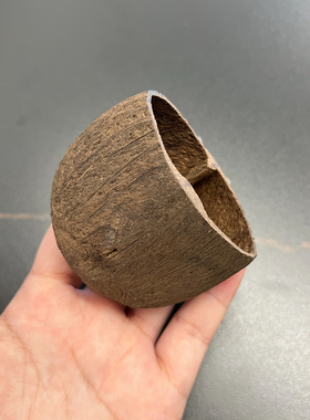 水铃桐果摇铃南非果壳天然植物