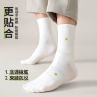【2件共12双】帕兰朵10A抑菌新疆棉中筒袜