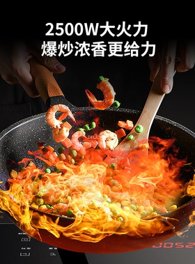 富得莱FDL-SZ-121电磁炉双灶家用