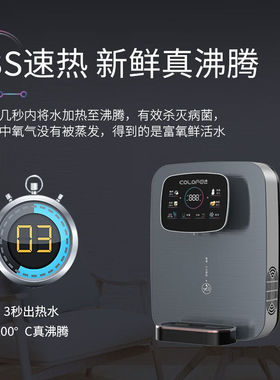 科罗菲（COLOFEL）管线机冷热型壁挂式瞬间加热饮水机双RO膜600G