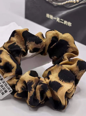 天欲雨｜典熙轻奢暮咖豹影蝴蝶结发圈高级感小众素颜感发饰六件套