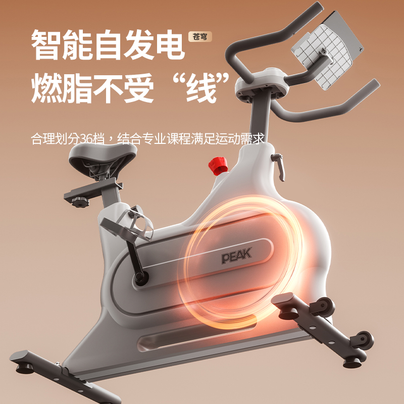 Intelligent Magnetic Peak/Peak Spinning Bike