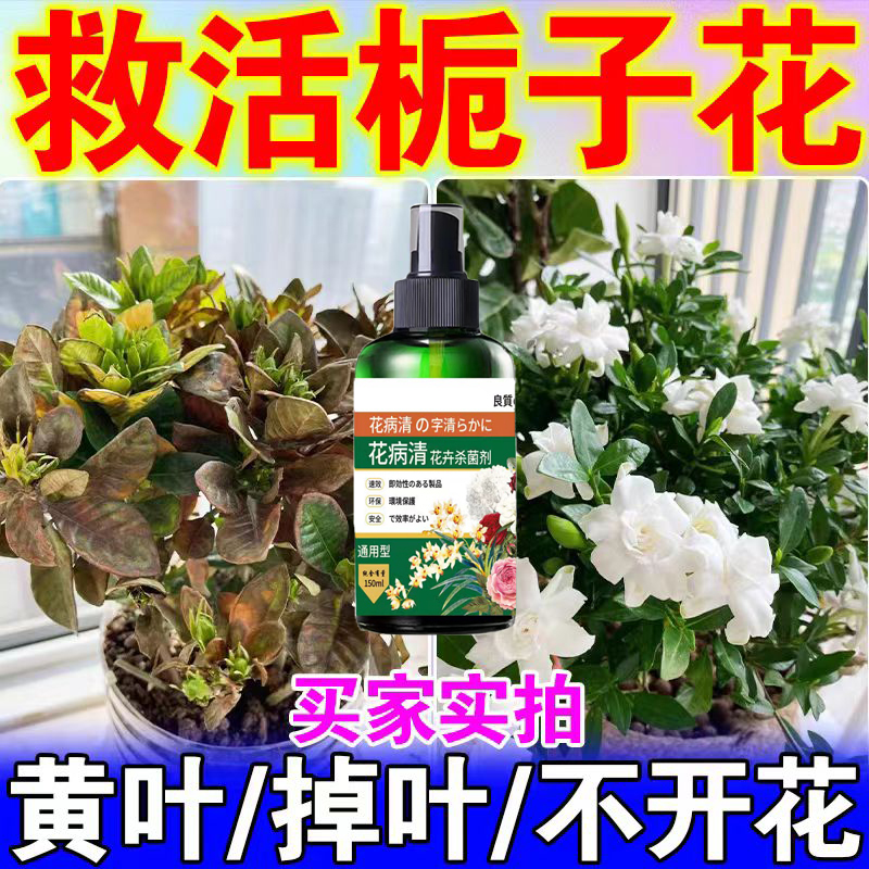 百菌清百菌请百箘清月季花常梨树锈病专用药杀菌剂农用大全菌百清 - 图2