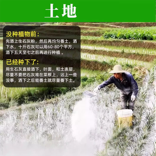 种菜生石灰粉水质净化杀虫驱虫剂干燥剂改善水质改良土壤防霉防病 - 图1