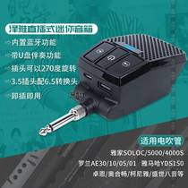 New Pindzeja Direct In-line Small Speaker Elegant 5000 Jiuhua Phantom Perpleasing Electric Blow Tube Special Electric Guitar Acoustics