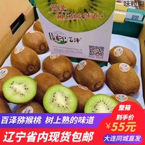 100 Zecchio Exotic Fruits selected Big Fruit One Box 4 catty fit the whole box When season Fresh Fruit Liaoning Province