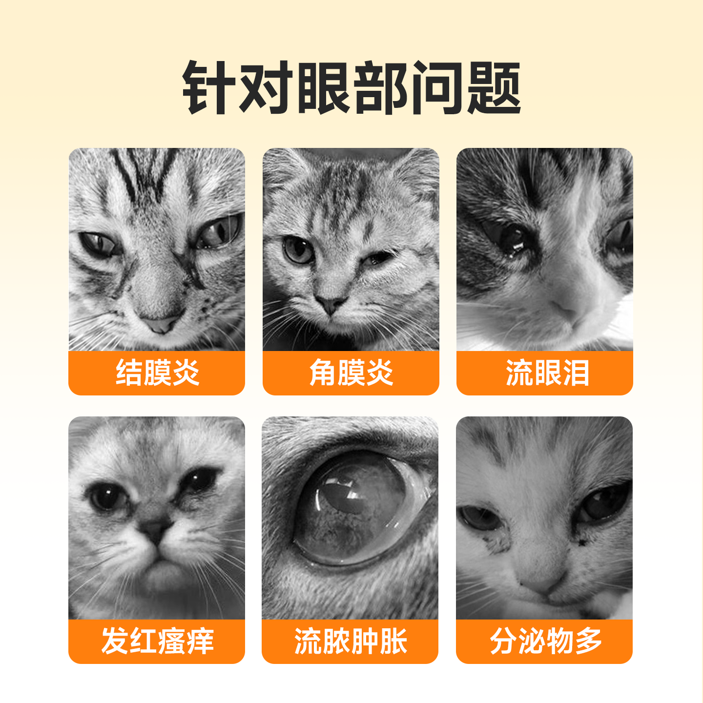 猫咪眼药水硫酸新霉素滴眼液狗狗眼睛结膜发炎流泪泪痕宠物滴眼液,淘宝优惠券,粉丝福利购,淘宝优惠卷