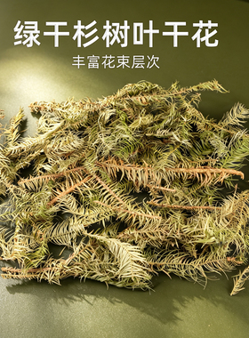 绿干杉树叶插花配叶手作自然摆件
