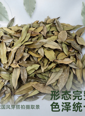 桂花叶铺设场地铺撒造景花艺基底