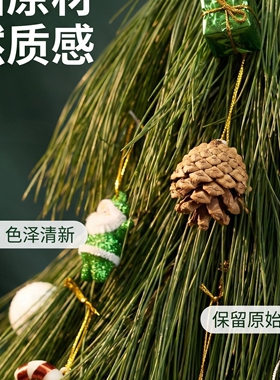 新鲜松枝小树型桌面商铺森系摆件
