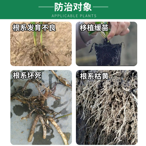 国光根宝生根剂液水溶肥园林蔬菜花卉苗木药材移栽灌根壮根促发根