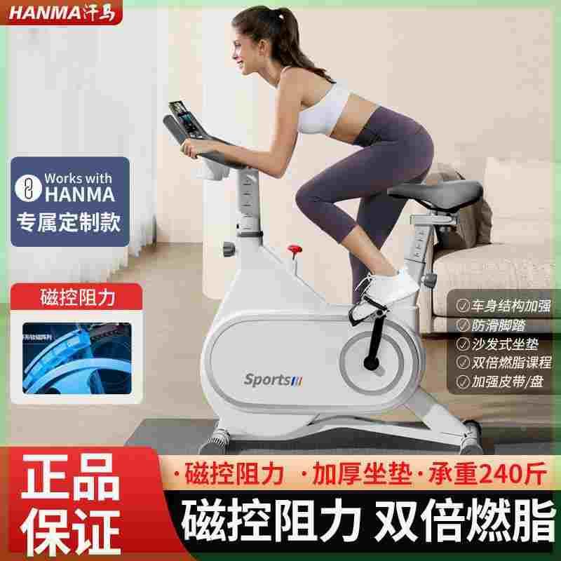 Hanma Intelligent Magnetic Control Spin Bike Home Weight Loss Exercise Equipment Silent MINI Indoor Bike Exercise Bike