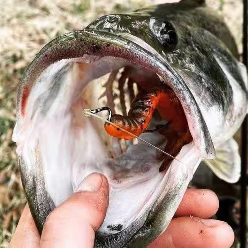 美国ZMAN内德NED钓组3寸山羊双T尾路亚软饵专用拟饵多色BABY GOAT - 图1