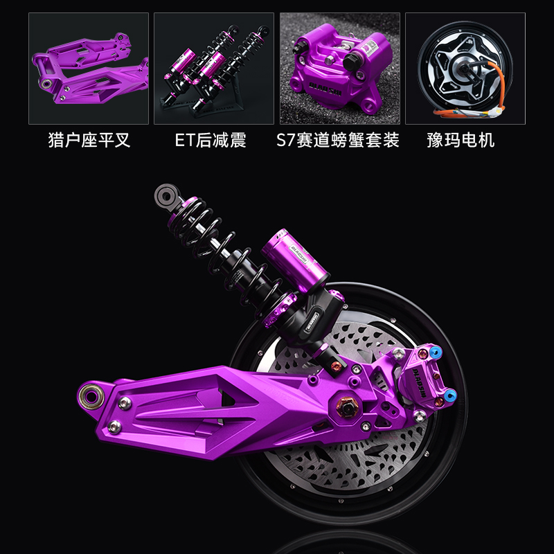 欧老师适用九号猎户座DZ110P/EVA后轮电机减震平叉刹车改装套装 - 图1