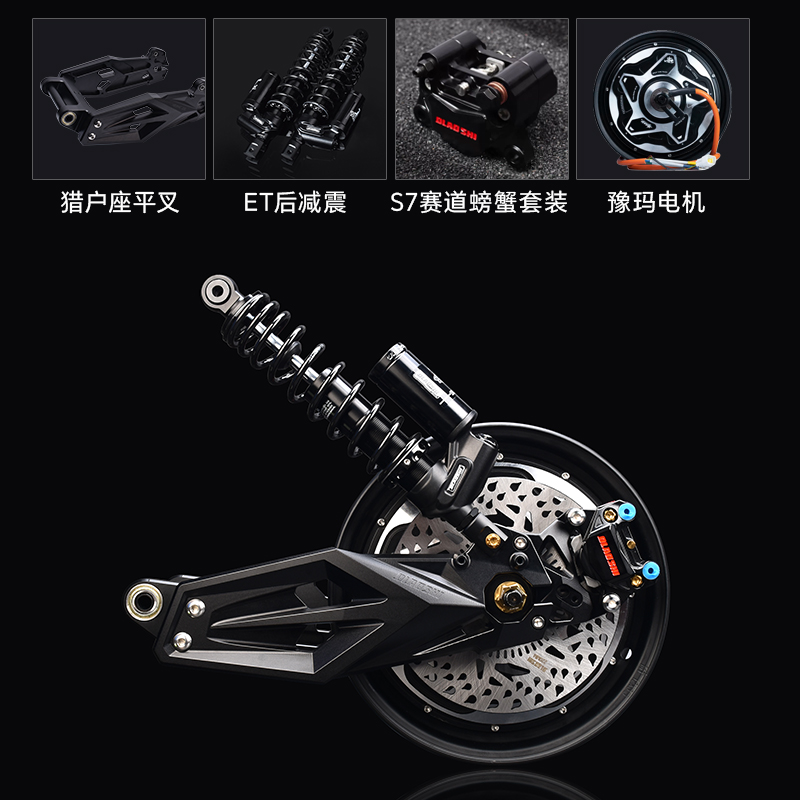 欧老师适用九号猎户座DZ110P/EVA后轮电机减震平叉刹车改装套装 - 图0