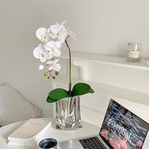 Net Red Plated Silver Pocket Vase Butterfly Orchid Flower Pot Livingroom Flower Arrangement Light And Luxurious Swing Piece Decoration