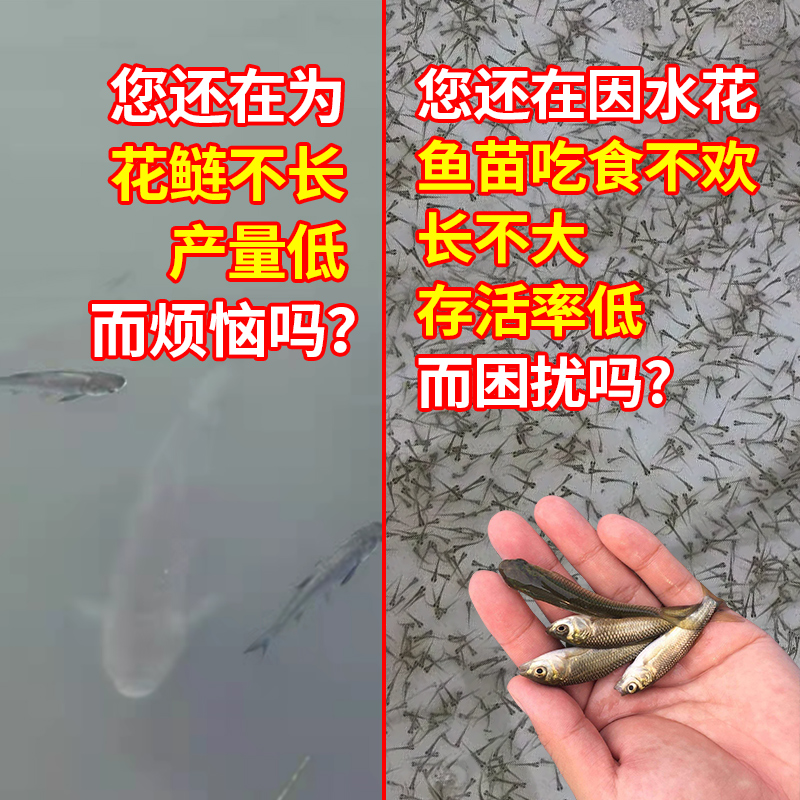 肥水水产养殖专用培藻膏鲤花白鲢鳙鱼塘速长肥饵料威立妙利饵多肽 - 图1