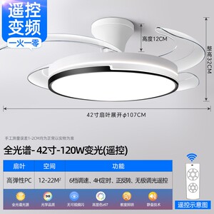 波西米亚隐形风扇灯2026新款吊扇卧室电扇吊灯灯吸顶家用客厅餐厅