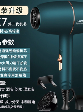 德国三插头电吹风机家用大功率速