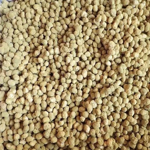 酱油曲精大酱发酵菌高纯度米曲霉菌豆豉黄豆酱发酵曲 酱油发酵菌