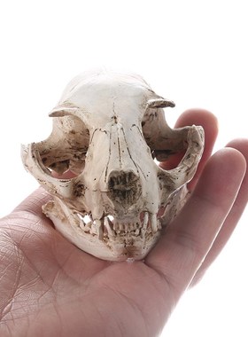 Animal Skull Desk Decoration Statues Sculptures Resin Hallow