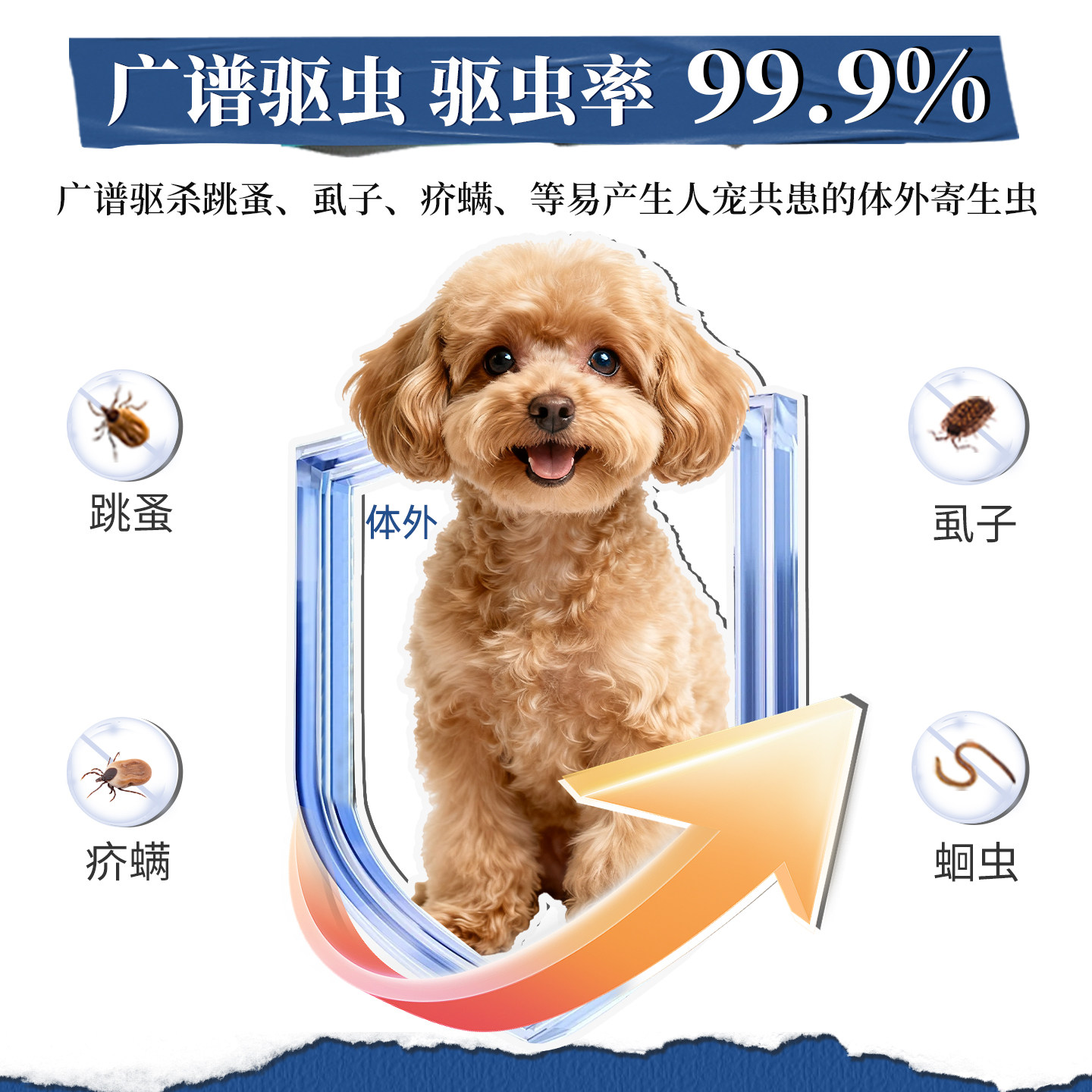 商品图