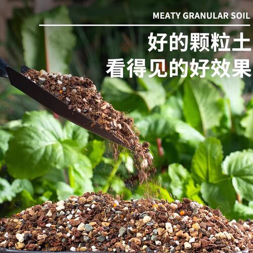 多肉专用颗粒土营养土多肉种植土壤花土盆栽思威博颗粒铺面麦饭石 - 图2