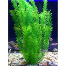 Fish tank decoration emulation Water Grass water group View Fake Water Grass Decoration Soft Water Grass Plastic Water Grass Green