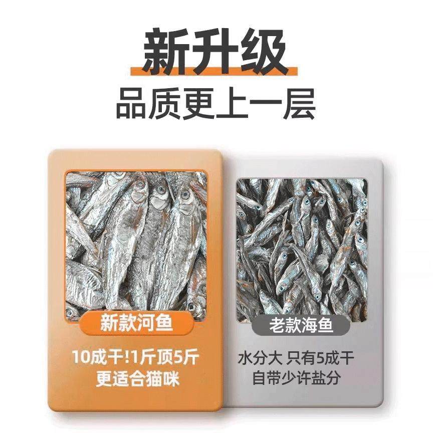 小鱼干猫猫零食宠物猫咪补磨牙增肥发腮多春鱼无盐冻干猫粮猫条钙,淘宝优惠券,粉丝福利购,淘宝优惠卷