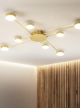 factory direct New led Chandelier  Living Room Bedroom Home