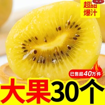 Sichuan Yellow Heart Exotic Fruits Fresh Pregnant Women Fruits Big Fruits when Ji Zhengzong Yellow Heart Exotic Fruit Whole Boxes 5 catties