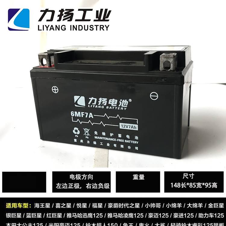 新品力扬125跨骑摩托车踏板车电瓶12v7AH9AH水电池干电瓶免维护蓄-图1