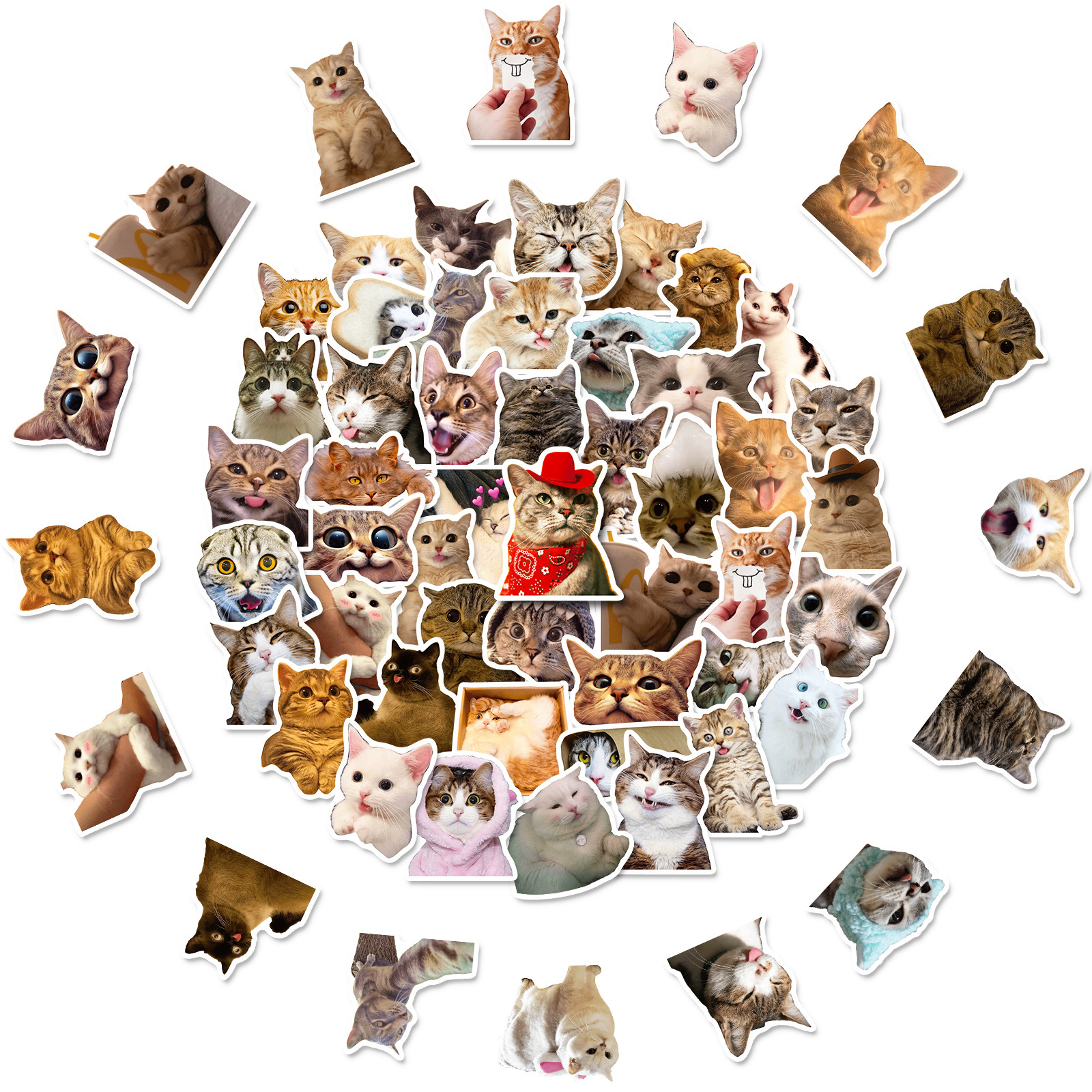 50张猫猫贴纸可爱萌宠猫咪cute网红猫咪表情包涂鸦跨境贴纸 - 图0
