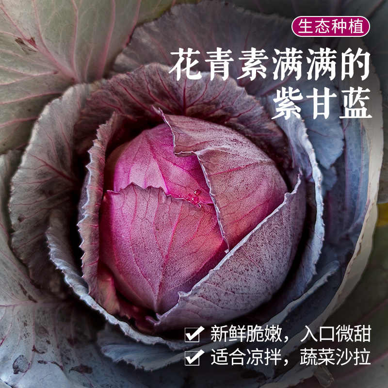 甘藍1 新人首單立減十元 22年11月 淘寶海外