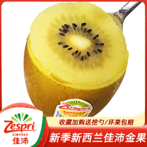 New Zealand Kiwifruit Golden Fruits 10 Fresh Pregnant Women Fruits Imported Yellow Heart Kiwifruit Big Fruits