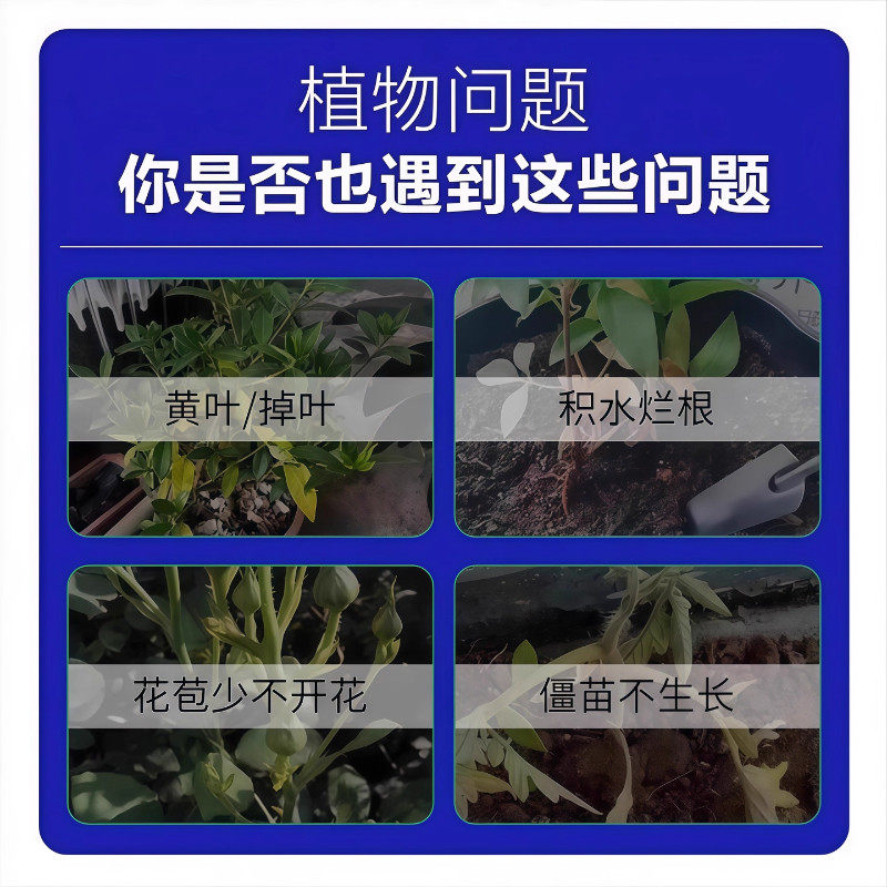 植物再生剂复活液花卉绿植盆栽通用光杆发黄发财树多肉生长营养液,淘宝优惠券,粉丝福利购,淘宝优惠卷