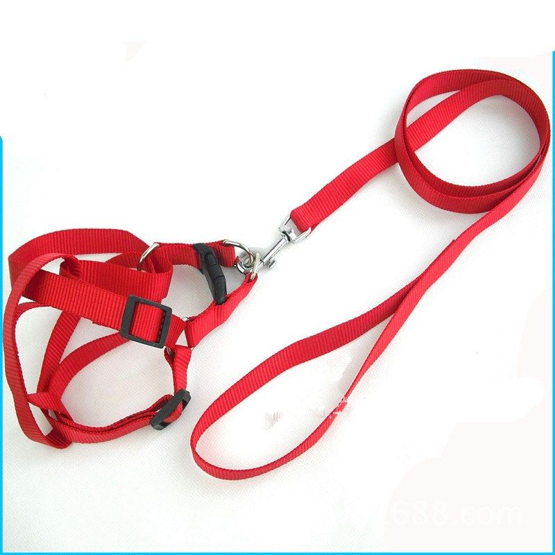 Pet Supplies Plain Nylon Pet Chest Harness and Dog Leash - 图0