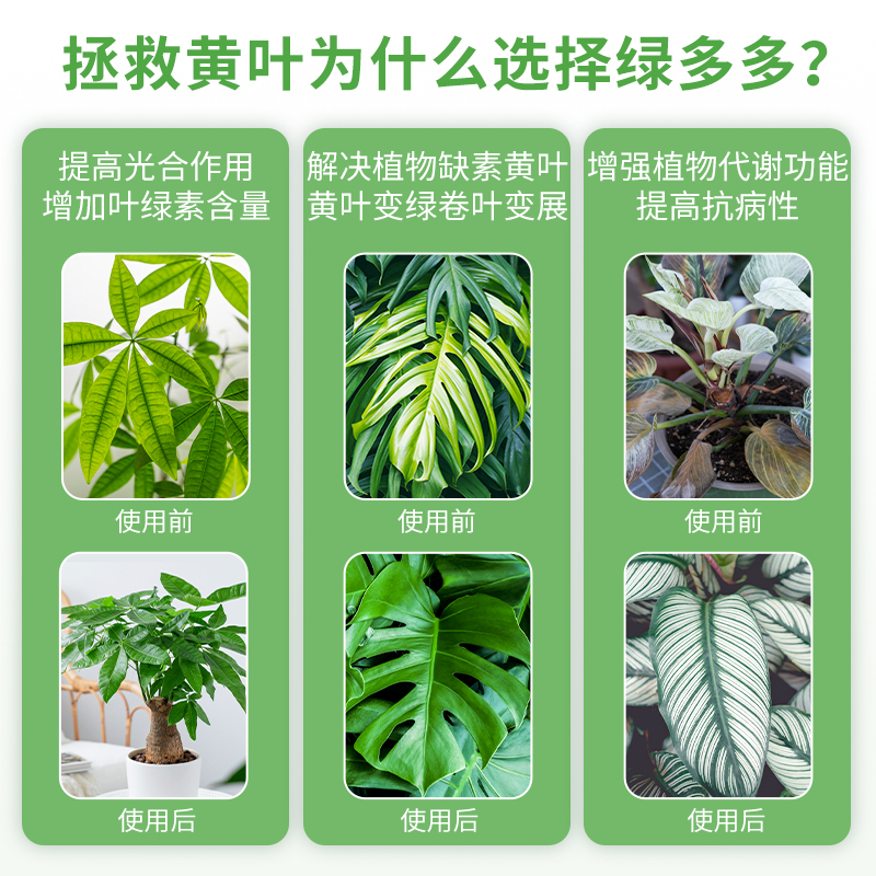 绿多多植物营养液绿植通用型发财树