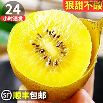 Authentic Szechuan Yellow Heart Chipagin 5 catties Fresh should season fruit chic exotic fruits Big fruits Ogomatino Clay Macaque Peach