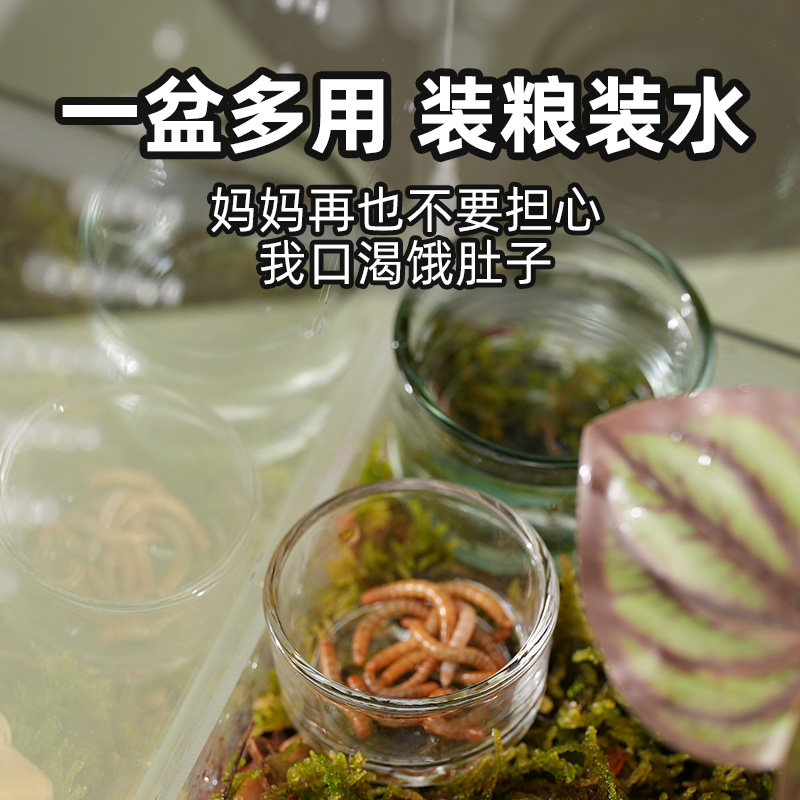 爬虫无菌玻璃水杯果泥食盆蛇守宫蛙睫角鬃狮蜥仓鼠蜘蛛加湿水盆,淘宝优惠券,粉丝福利购,淘宝优惠卷