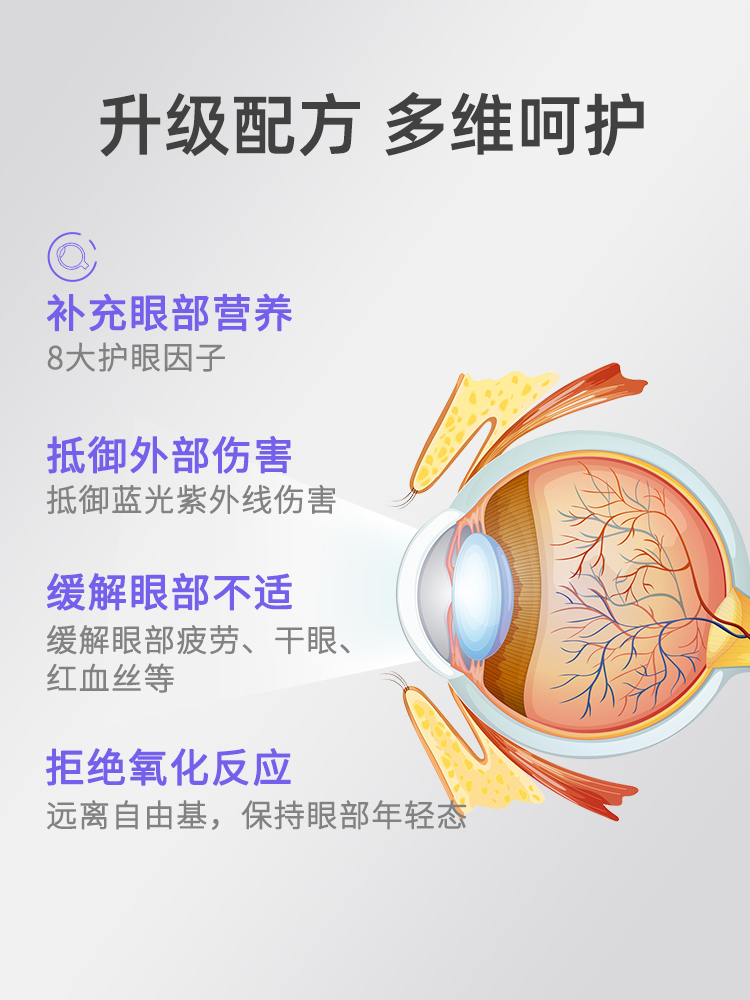 [2瓶装]RuisOlimar学生护眼DHA鱼油叶黄素胶囊蓝莓omega3干眼进口 - 图1