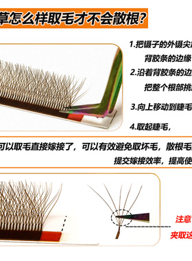 美睫店专用焦糖色五叶草睫毛浓密